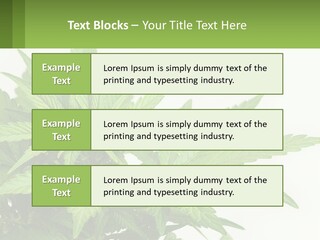 Older Sunset Sad PowerPoint Template