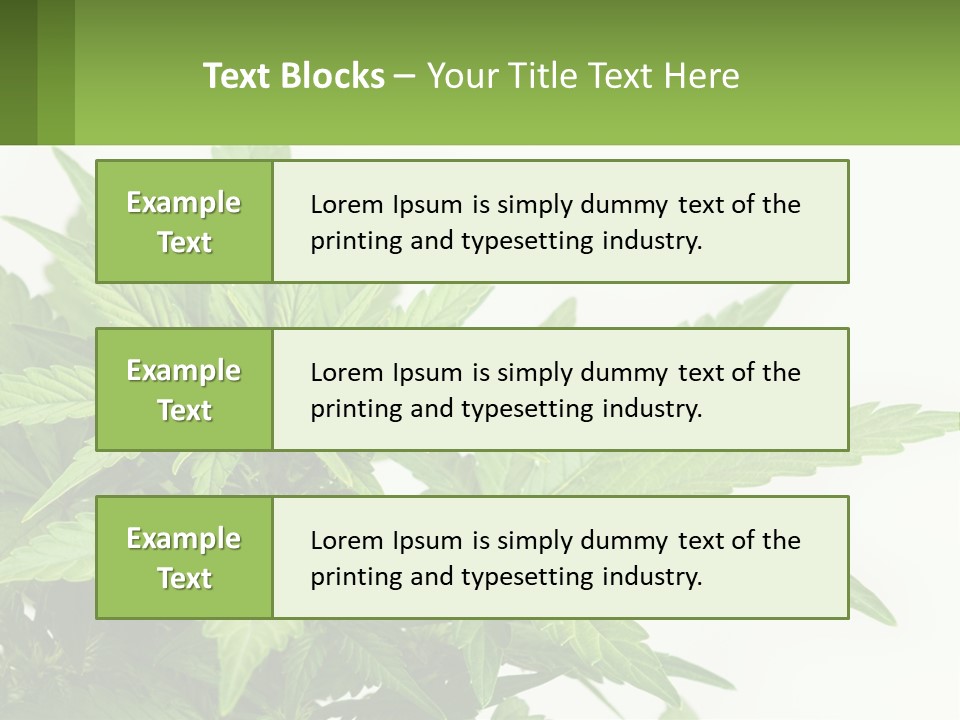 Older Sunset Sad PowerPoint Template