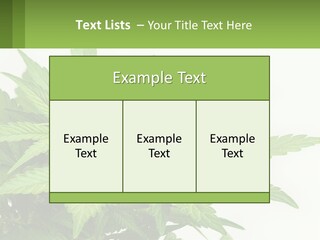 Older Sunset Sad PowerPoint Template