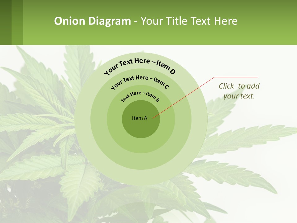 Older Sunset Sad PowerPoint Template