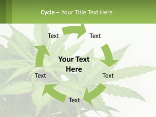 Older Sunset Sad PowerPoint Template