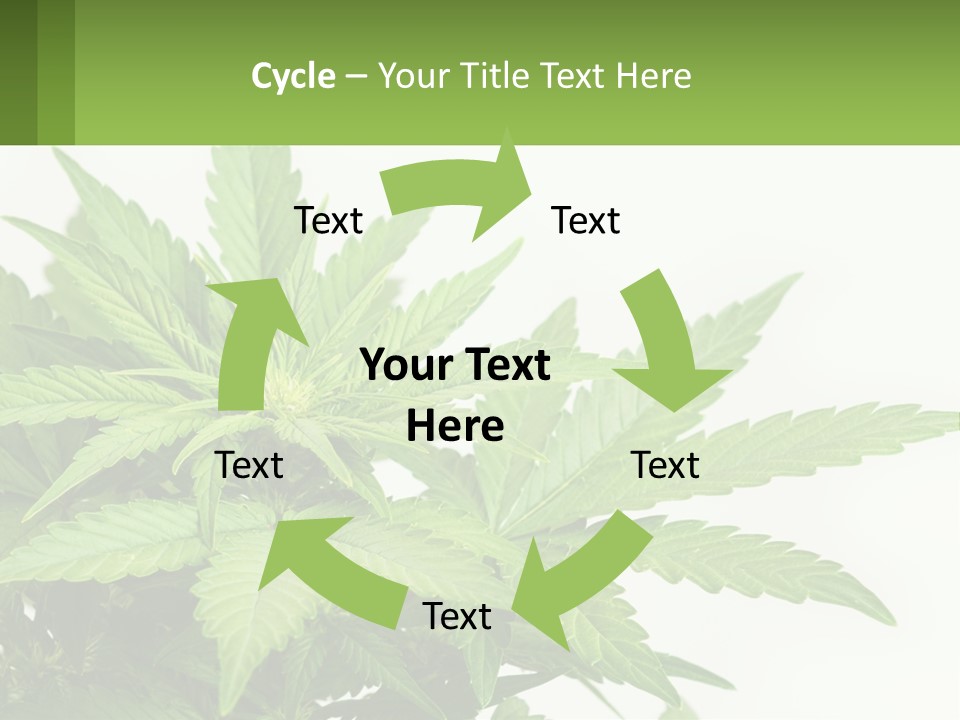 Older Sunset Sad PowerPoint Template