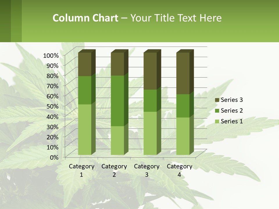 Older Sunset Sad PowerPoint Template