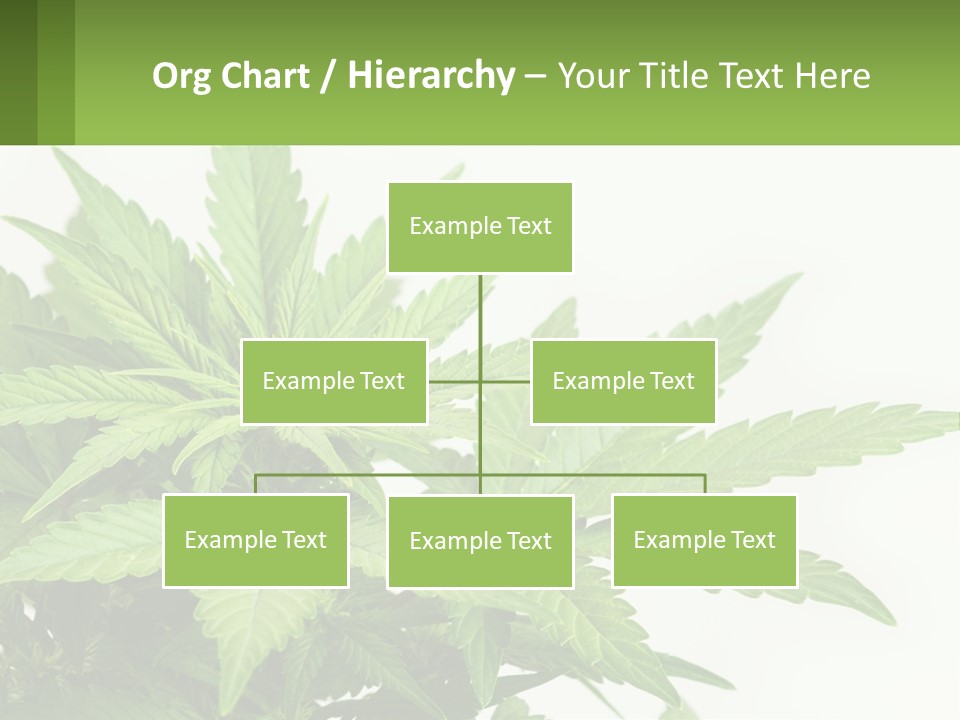 Older Sunset Sad PowerPoint Template