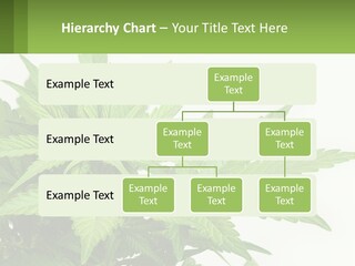 Older Sunset Sad PowerPoint Template