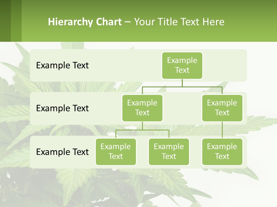 Older Sunset Sad PowerPoint Template