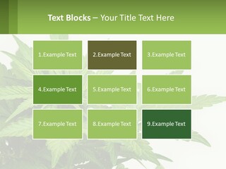 Older Sunset Sad PowerPoint Template