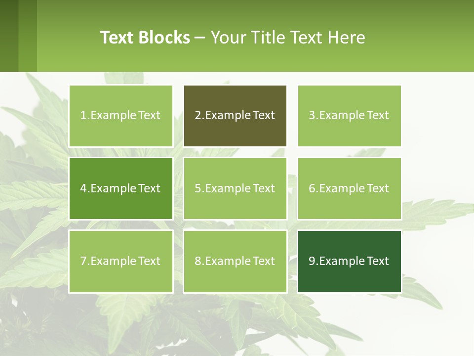 Older Sunset Sad PowerPoint Template
