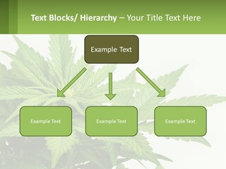 Older Sunset Sad PowerPoint Template