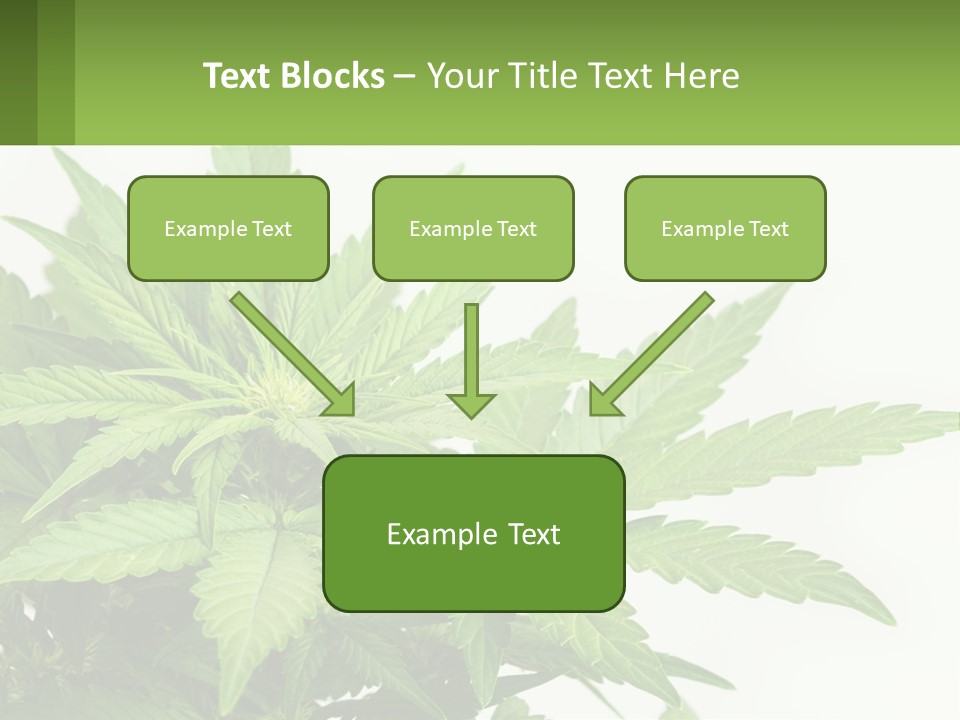 Older Sunset Sad PowerPoint Template