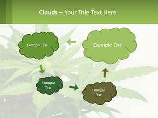 Older Sunset Sad PowerPoint Template