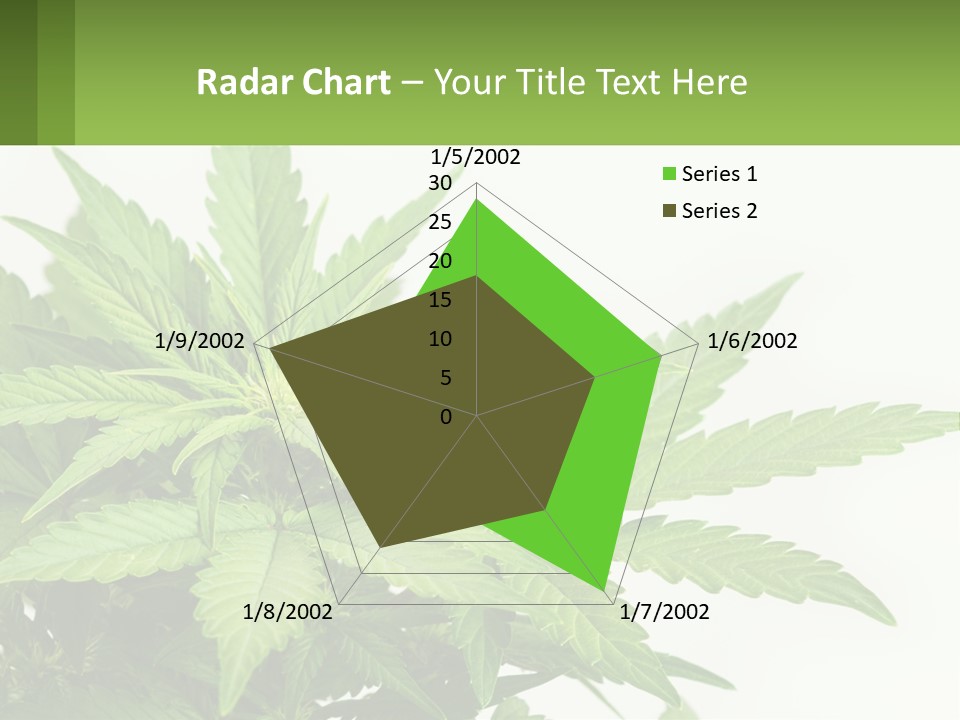 Older Sunset Sad PowerPoint Template