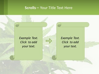 Older Sunset Sad PowerPoint Template