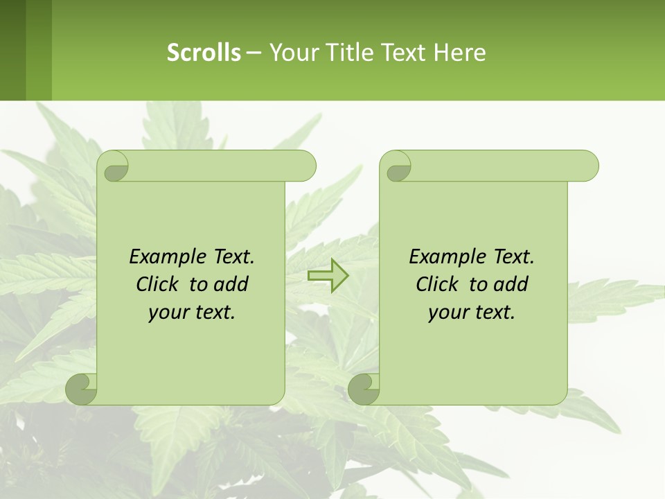 Older Sunset Sad PowerPoint Template