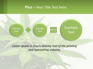 Older Sunset Sad PowerPoint Template