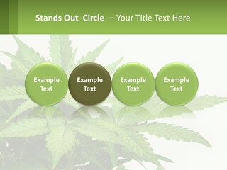 Older Sunset Sad PowerPoint Template