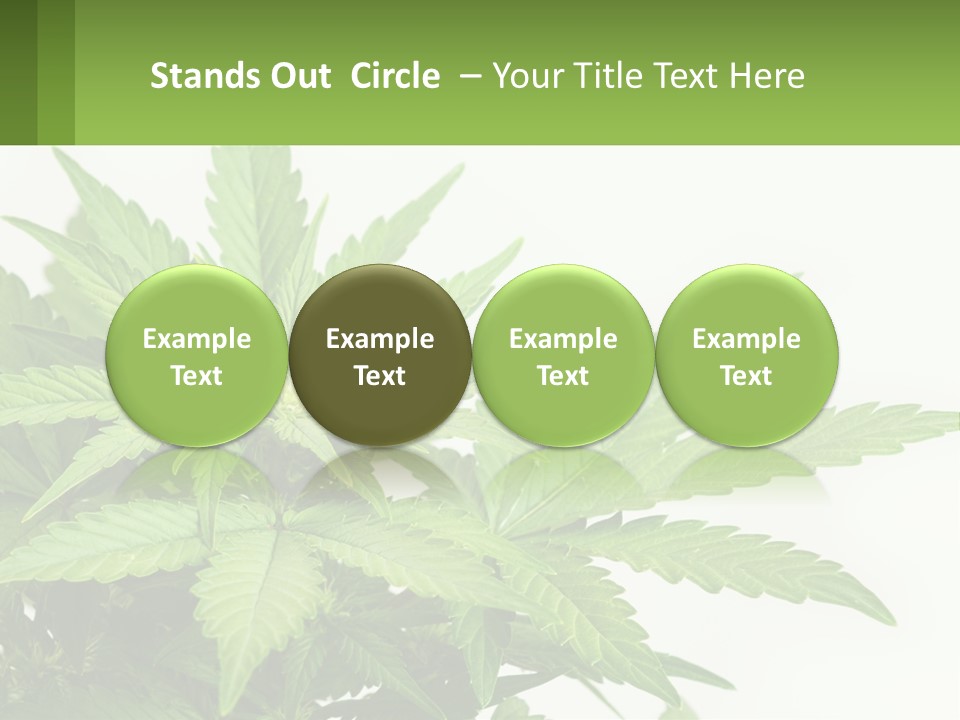 Older Sunset Sad PowerPoint Template