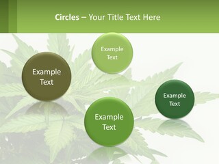 Older Sunset Sad PowerPoint Template