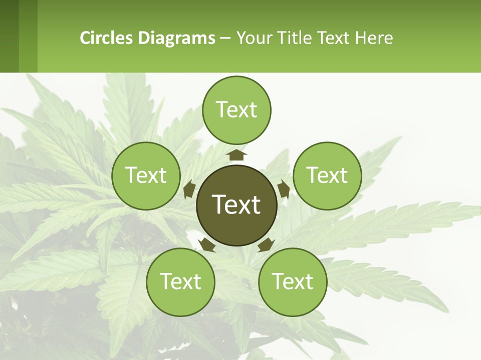 Older Sunset Sad PowerPoint Template