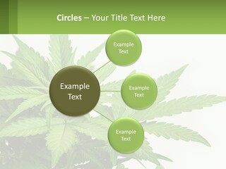 Older Sunset Sad PowerPoint Template