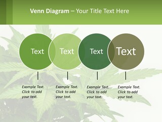 Older Sunset Sad PowerPoint Template