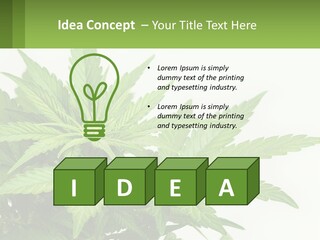 Older Sunset Sad PowerPoint Template