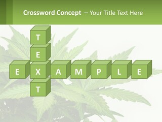 Older Sunset Sad PowerPoint Template