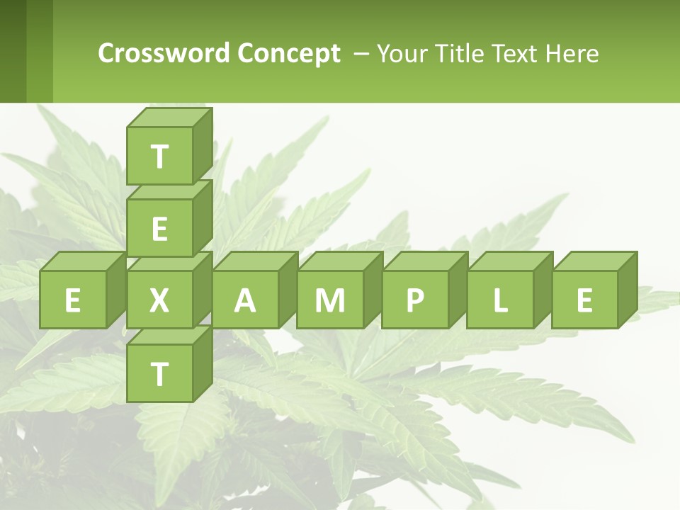 Older Sunset Sad PowerPoint Template