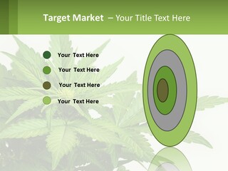 Older Sunset Sad PowerPoint Template