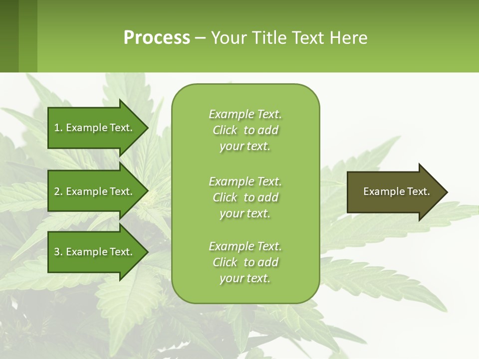 Older Sunset Sad PowerPoint Template