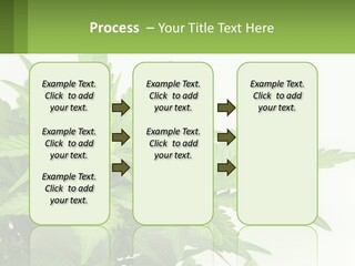 Older Sunset Sad PowerPoint Template