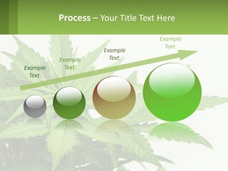 Older Sunset Sad PowerPoint Template