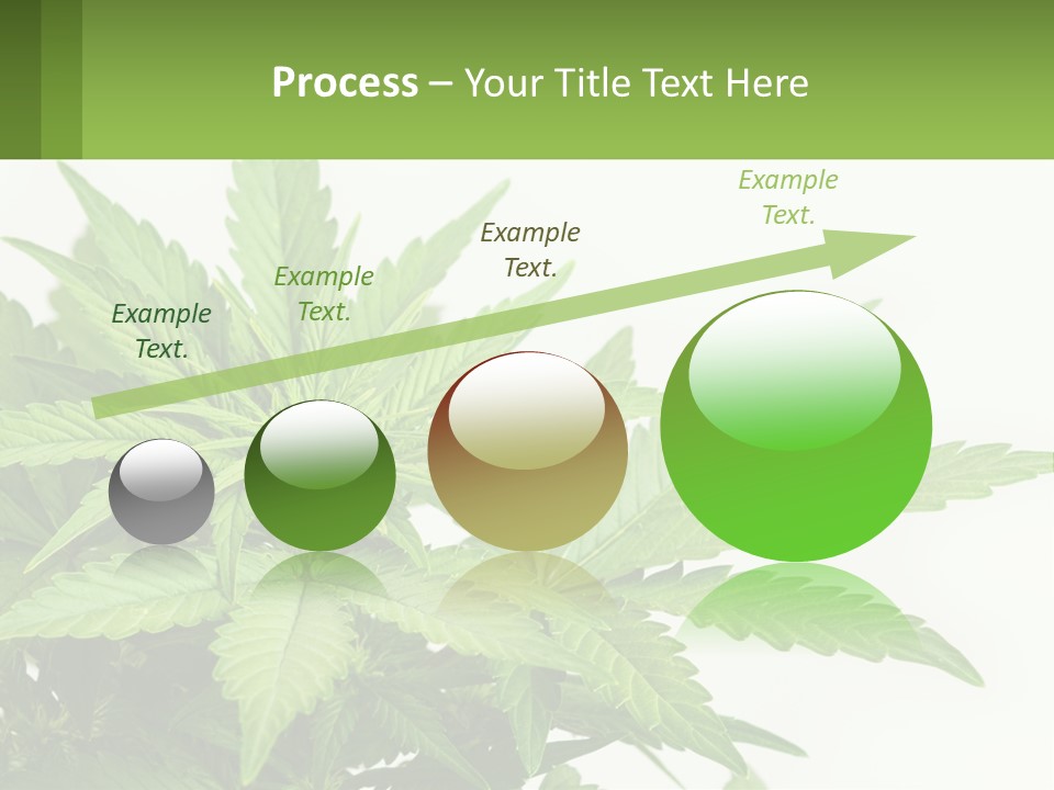 Older Sunset Sad PowerPoint Template