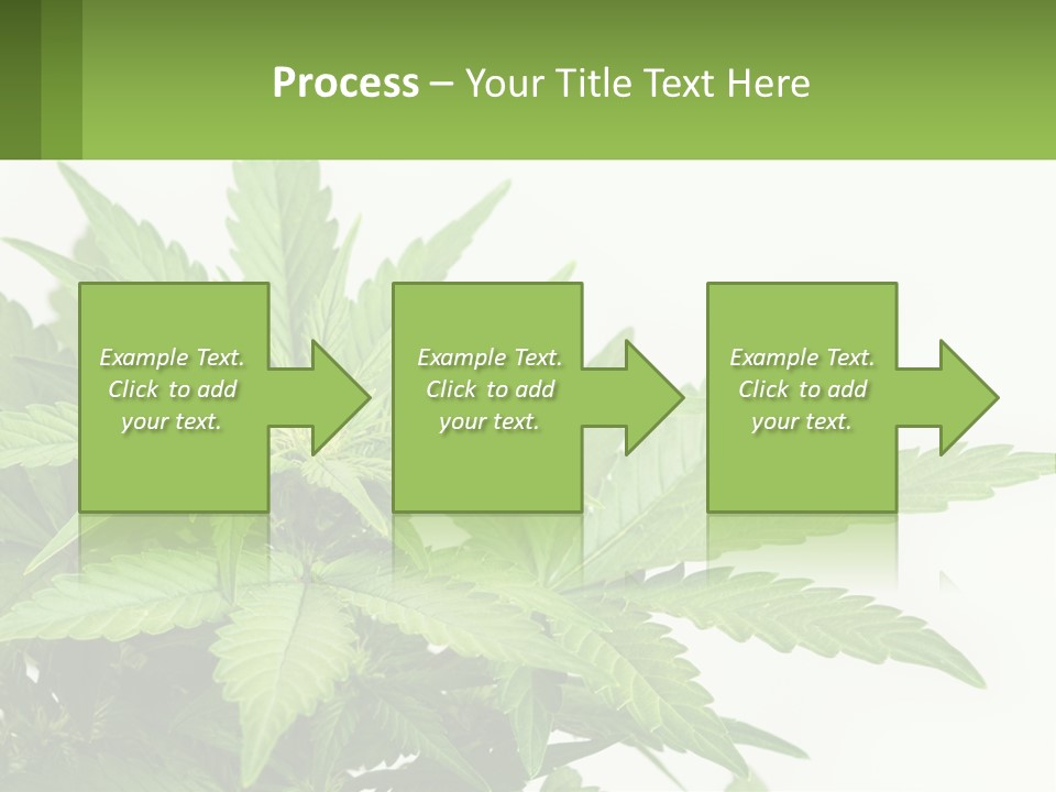 Older Sunset Sad PowerPoint Template