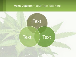 Older Sunset Sad PowerPoint Template