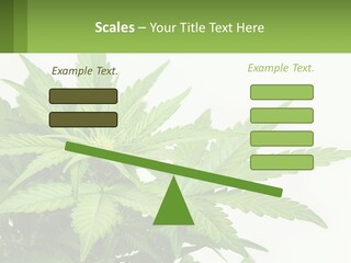 Older Sunset Sad PowerPoint Template