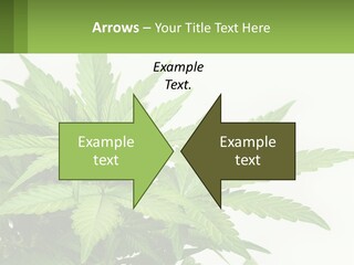 Older Sunset Sad PowerPoint Template