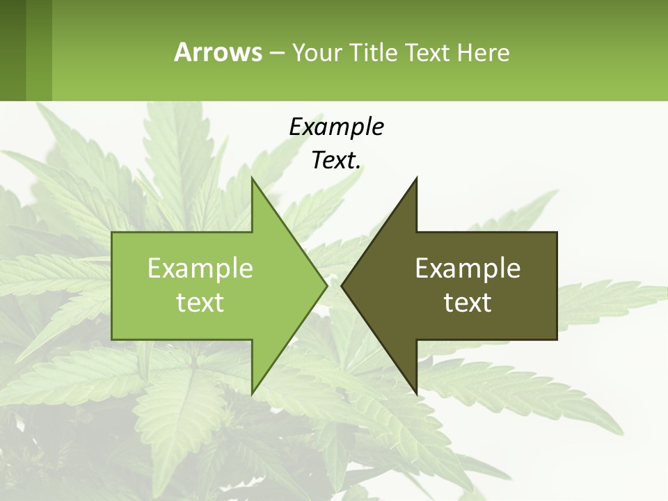 Older Sunset Sad PowerPoint Template