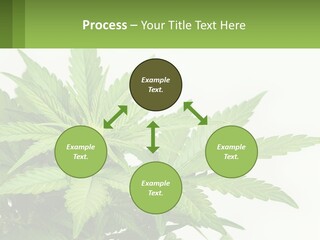 Older Sunset Sad PowerPoint Template