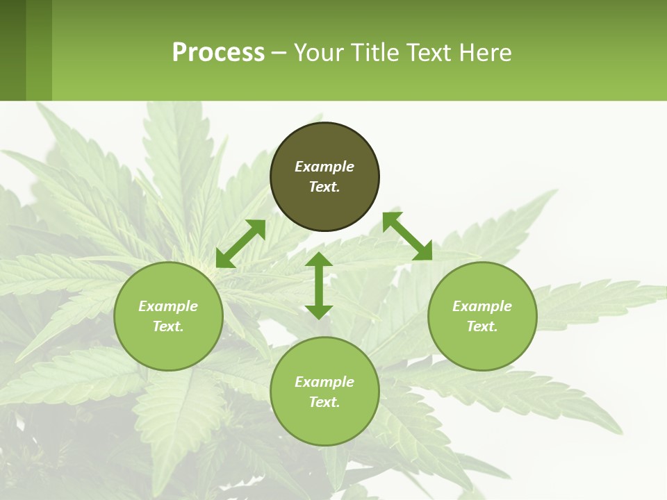 Older Sunset Sad PowerPoint Template