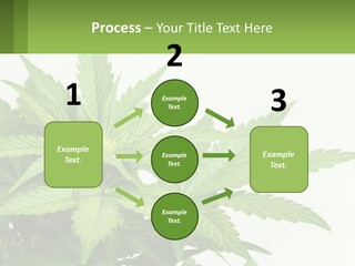 Older Sunset Sad PowerPoint Template