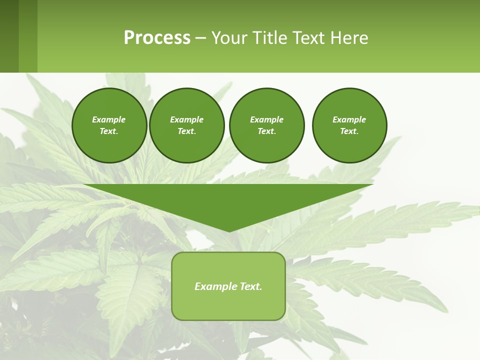 Older Sunset Sad PowerPoint Template