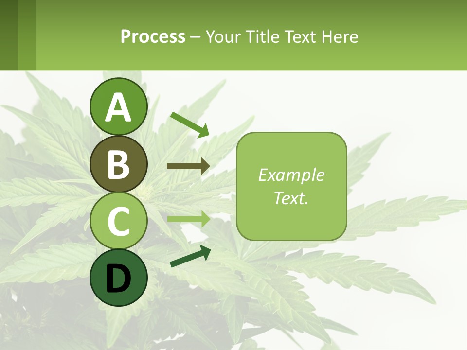Older Sunset Sad PowerPoint Template