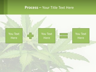 Older Sunset Sad PowerPoint Template