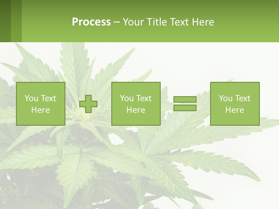 Older Sunset Sad PowerPoint Template