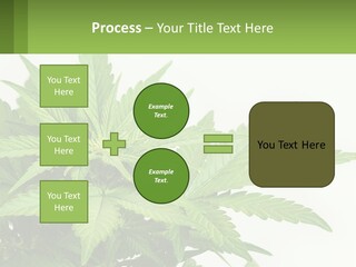 Older Sunset Sad PowerPoint Template