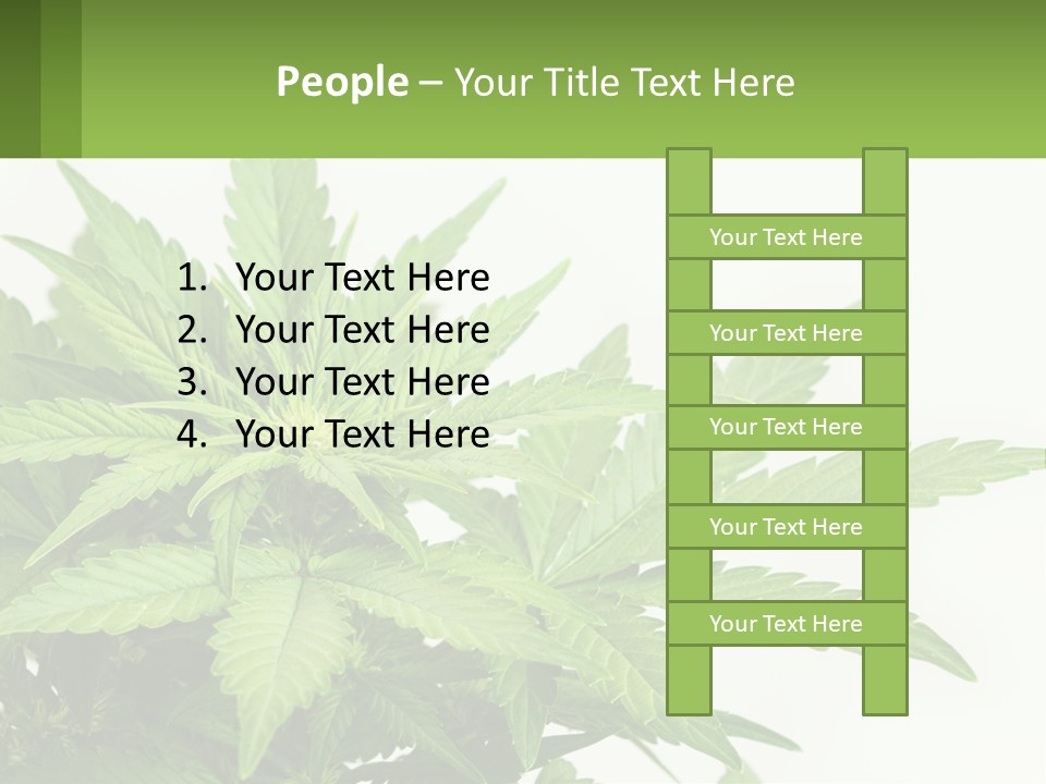 Older Sunset Sad PowerPoint Template