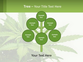 Older Sunset Sad PowerPoint Template