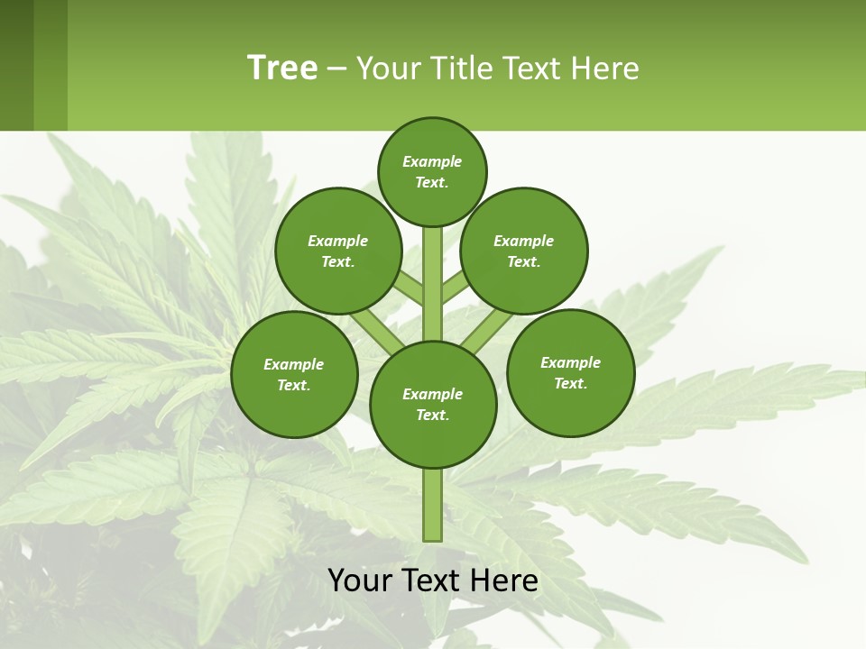 Older Sunset Sad PowerPoint Template