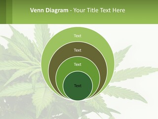 Older Sunset Sad PowerPoint Template